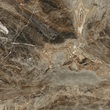 Плитка керамогранитная Vesuvio коричневый RECT 600x600x10 Golden Tile - Зображення