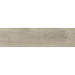 Плитка керамогранітна Taiga Grey MAT 155x620x8 StarGres - Зображення