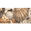 Декор Sea Breeze Shells Decore №3 300x600x9 Golden Tile - Зображення