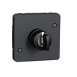 Переключатель с ключом IP55 Черный MUREVA STYL (MUR35061), Schneider Electric - Зображення