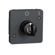 Переключатель с ключом IP55 Черный MUREVA STYL (MUR35062), Schneider Electric - Зображення