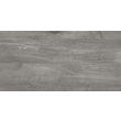 Плитка керамогранитная Alpina Wood серый 307x607x8,5 Golden Tile - Зображення