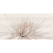 Декор Avangarde White Inserto Flower 297×600x9 Opoczno - Зображення