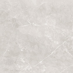 Плитка керамогранітна Sanaa Grey POL 600x600 Raviraj - зображення 1