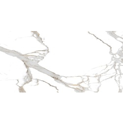 Плитка керамогранітна Daniel Statuario POL 600x1200 Raviraj - зображення 1