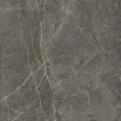 Плитка керамогранітна SO7580 Stone Roots Коричневий RECT 600x600x8 Golden Tile - зображення 1