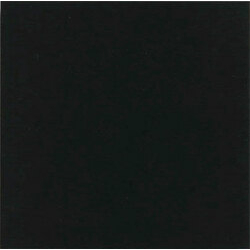 Плитка керамогранітна Monocolor Negro 200x200x10 Vives - зображення 1