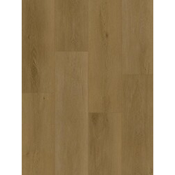 Вінілова підлога Oceania XL Ontario 5Gi 228x1500х6 Beaulieu Canada - зображення 1