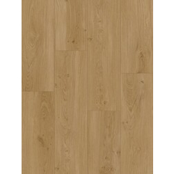 Вінілова підлога Oceania XL Winnipeg 5Gi 228x1500х6 Beaulieu Canada - зображення 1