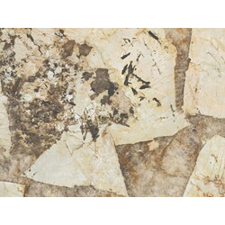 Плитка керамогранітна AFXV Marvel Desert Soul LAP 1200x2780 Atlas Concorde - зображення 1