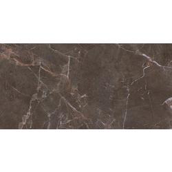 Плитка керамогранітна Proud Champagne Naturale SZKL RECT STR MAT 598x1198x8 Paradyz - зображення 1