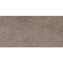 Плитка керамогранітна Urban Champagne Naturale SZKL RECT STR MAT 598x1198x8 Paradyz - зображення 1