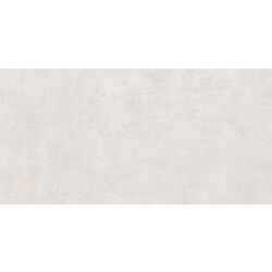 Плитка керамогранітна Monvera Light Grey RECT MAT 598x1198 Opoczno - зображення 1