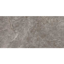 Плитка керамогранітна Magnus Brown MAT 298x598 Cersanit - зображення 1