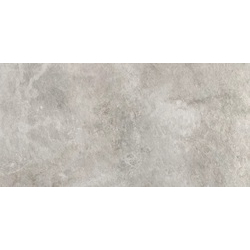 Плитка керамогранітна Burlington Silver SZKL RECT STR MAT 595x1195x20 Paradyz - зображення 1