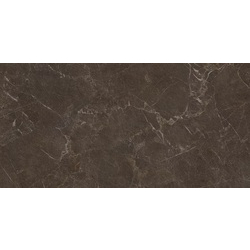 Плитка керамогранітна Eloria Brown SZKL RECT STR MAT 598x1198 Paradyz - зображення 1