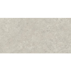 Плитка керамогранітна Sedina Grey SZKL RECT MAT 598x1198 Paradyz - зображення 1