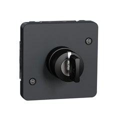Переключатель с ключом IP55 Черный MUREVA STYL (MUR35061), Schneider Electric - зображення 1