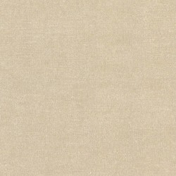 Шпалери Rasch Textil Solene 290577 - зображення 1