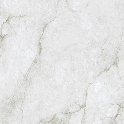 Плитка керамогранітна Precious Natural POL 600x600 Ecoceramic - зображення 1