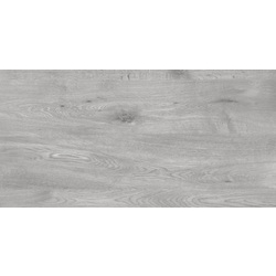 Плитка керамогранітна Alpina Wood світло-сірий 307x607x8,5 Golden Tile - зображення 1