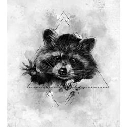 Фотошпалери LeoPrint Голодний єнот - зображення 1