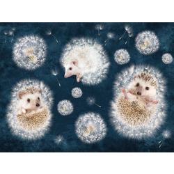 Фотошпалери LeoPrint Повітряне щастя - зображення 1