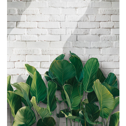 Фотошпалери LeoPrint Балі - зображення 1