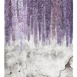 Фотошпалери LeoPrint Гліцинія - зображення 1