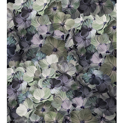 Фотошпалери LeoPrint Гортензія - зображення 1