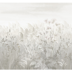 Фотошпалери LeoPrint Лугова прозорість - зображення 1