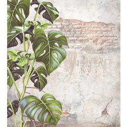 Фотошпалери LeoPrint Монстера - зображення 1