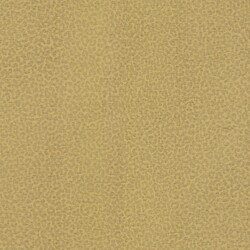 Шпалери Emiliana Parati Roberto Cavalli № 8 19017 - зображення 1