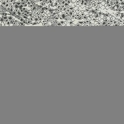 Шпалери Emiliana Parati Roberto Cavalli № 8 19035 - зображення 1