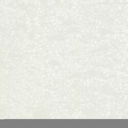 Шпалери Emiliana Parati Roberto Cavalli № 8 19039 - зображення 1