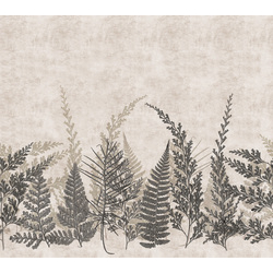 Шпалери Decoprint Soleado HED27292 - зображення 1