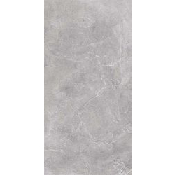 Плитка керамогранитная Silver Grey Светло-серый POL 297x597x8,5 Nowa Gala - зображення 1