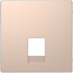 D-Life ЦЕНТР. НАКЛ. 2*RJ11-12 ШАМПАНЬ - зображення 1