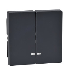 SM ДВІ КЛАВІШИ З ВІКОНЦ.ДЛЯ ІНД.АНТР. - зображення 1