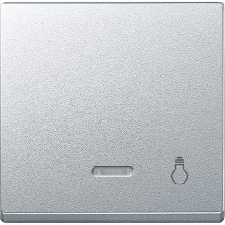 SM КЛ.З ВІК.СВ.ІНД.І ПІКТ.СВІТЛО, АЛЮМ. - зображення 1