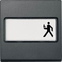 SM КЛАВІША,З ПОЛЕМ Д-НАПИСУ, АНТРАЦИТ - зображення 1