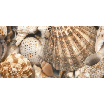 Декор Sea Breeze Shells Decore №3 300x600x9 Golden Tile - зображення 1