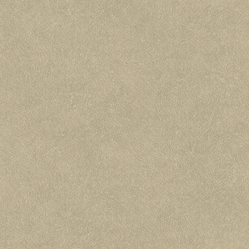 Шпалери Decoprint Shades of Colour TA25021 - зображення 1