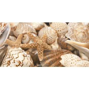 Декор Sea Breeze Shells Decore №1 300x600x9 Golden Tile - зображення 1