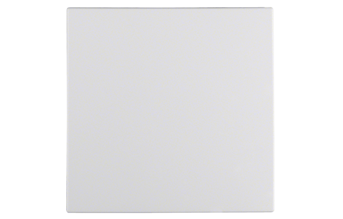 Клавиша выключателя Berker matt S1 Полярно-белый 16201909 Hager - Зображення 164732917-2235c.png