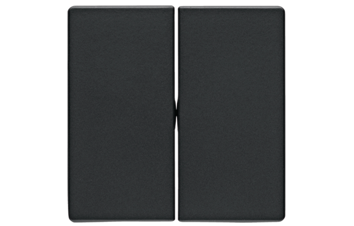 Клавиша выключателя двойная Berker Qх Антрацит 16236086 Hager - Зображення 164734621-db720.png