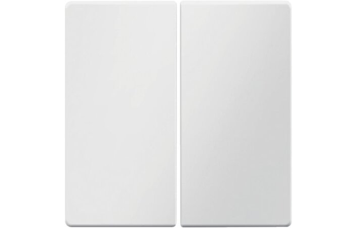 Клавиша 2Х полярное белье Berker 16236089 Hager - Зображення 164734844-f3e64.jpg