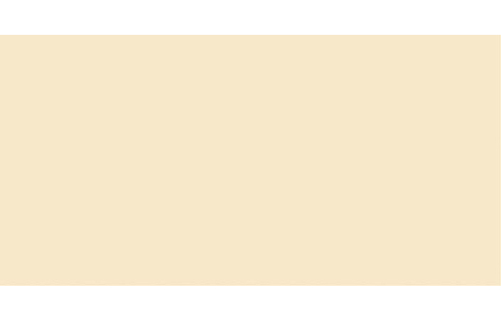 Плитка стінова Neve Vanilla MAT 300x600 Paradyz - Зображення 177973070-875c5.jpg