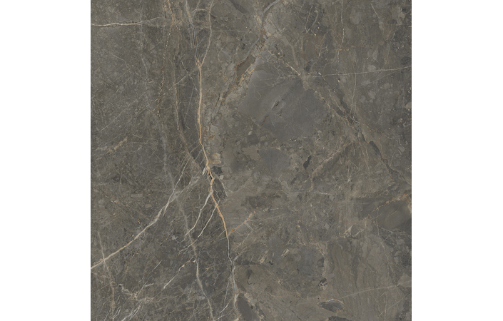 Плитка керамогранітна SO7580 Stone Roots Коричневий RECT 600x600x8 Golden Tile - Зображення 179651066-01aae.jpg