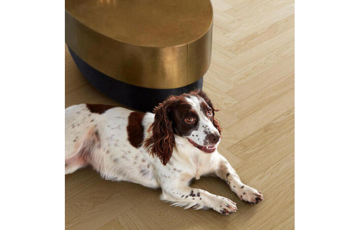 Інженерна дошка Parqwood Herringbone 61001787 A Nature Calm BVM V4M - Зображення 180509753-95321.jpg